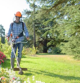 trimming the grass
