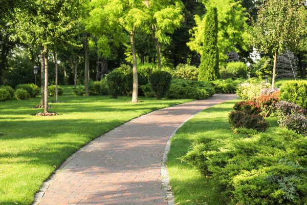 Beautiful green park on summer day