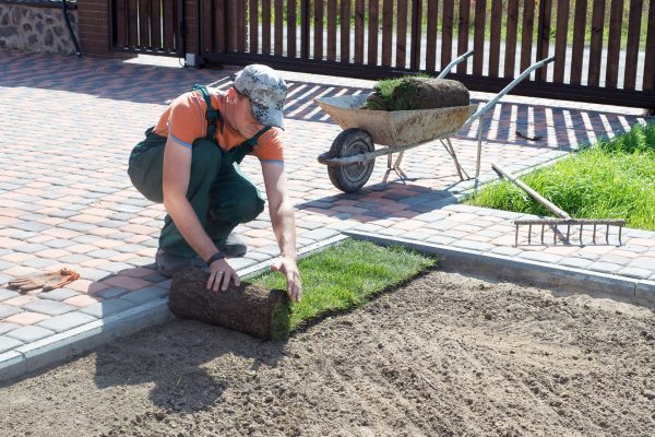 Landscape Gardener Laying Turf For New Lawn