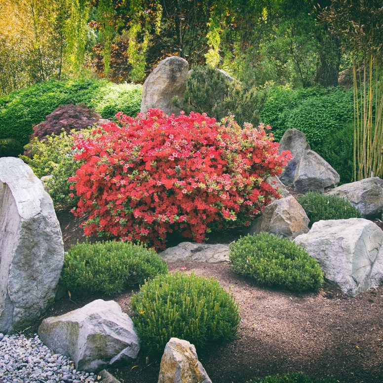 japanese garden wit big stones and pavement, chinese garden in summer