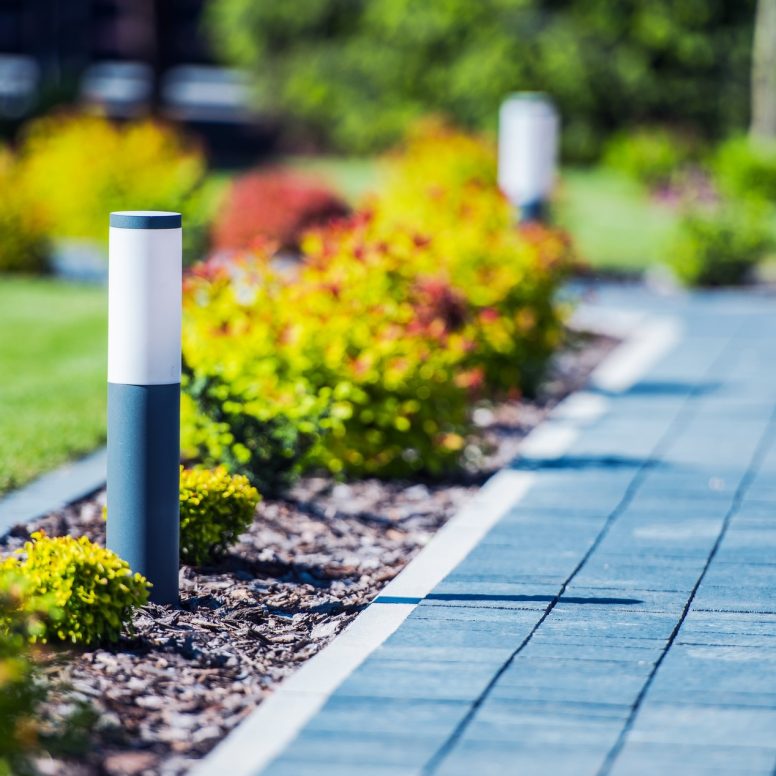 Cobblestone Brick Path in the Garden with Elegant and Modern LED Lighting.
