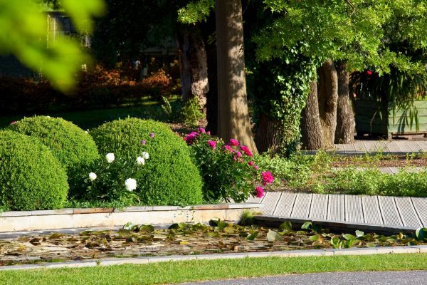Jardin décoratif et paysagé