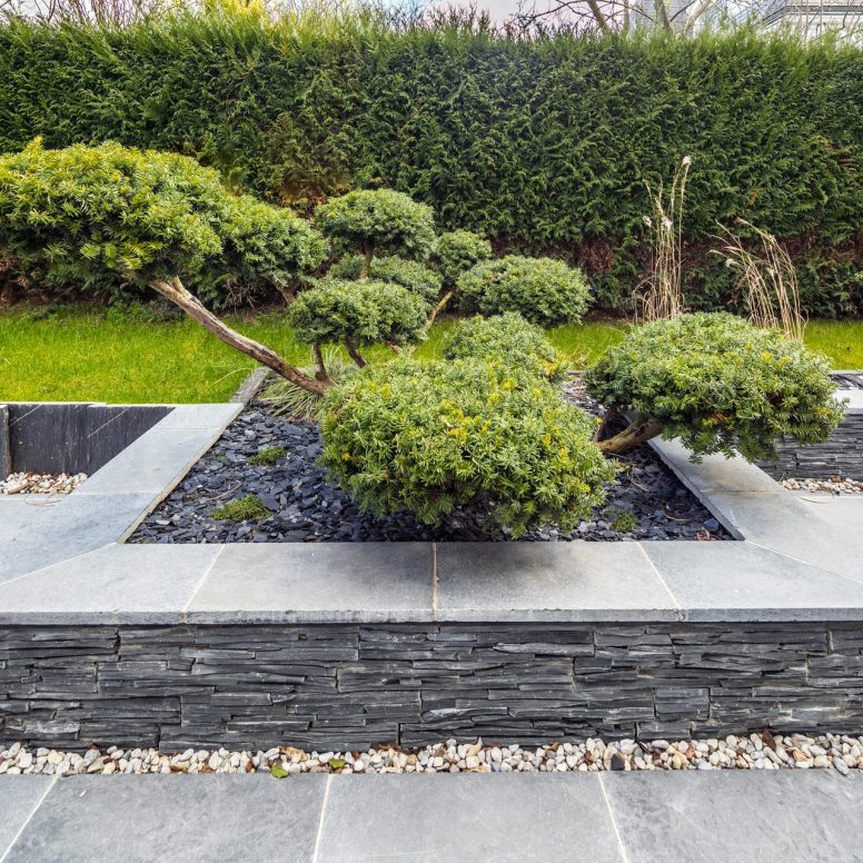 mur gris et jardin moderne