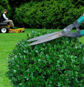 landscape maintenance