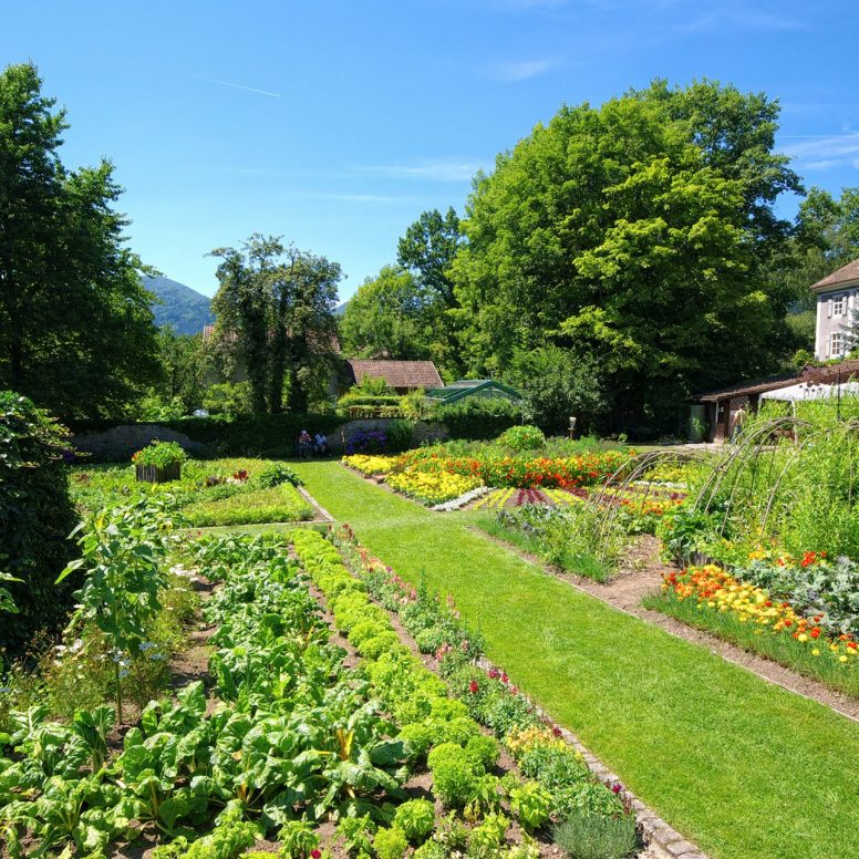Jardin