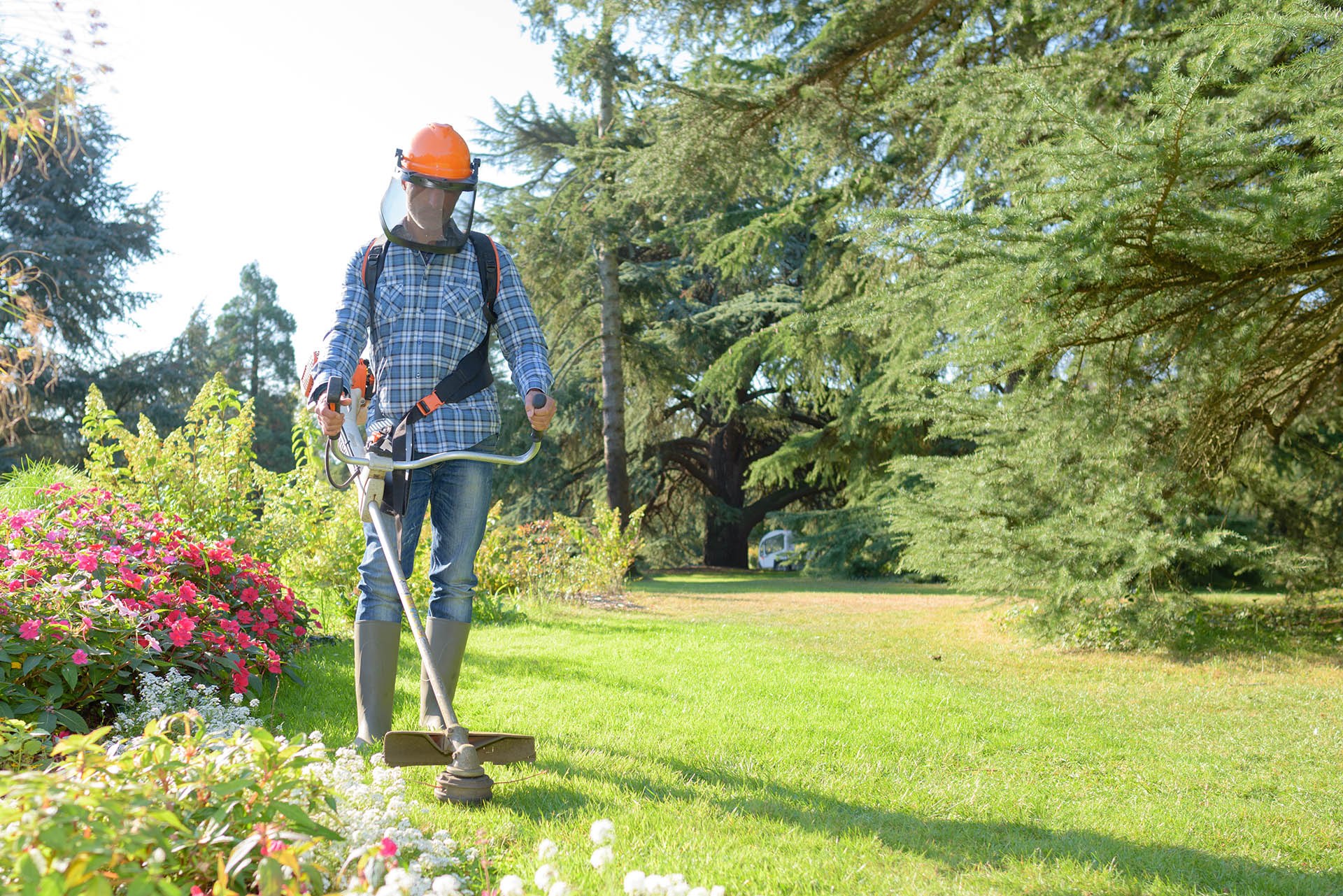 trimming the grass