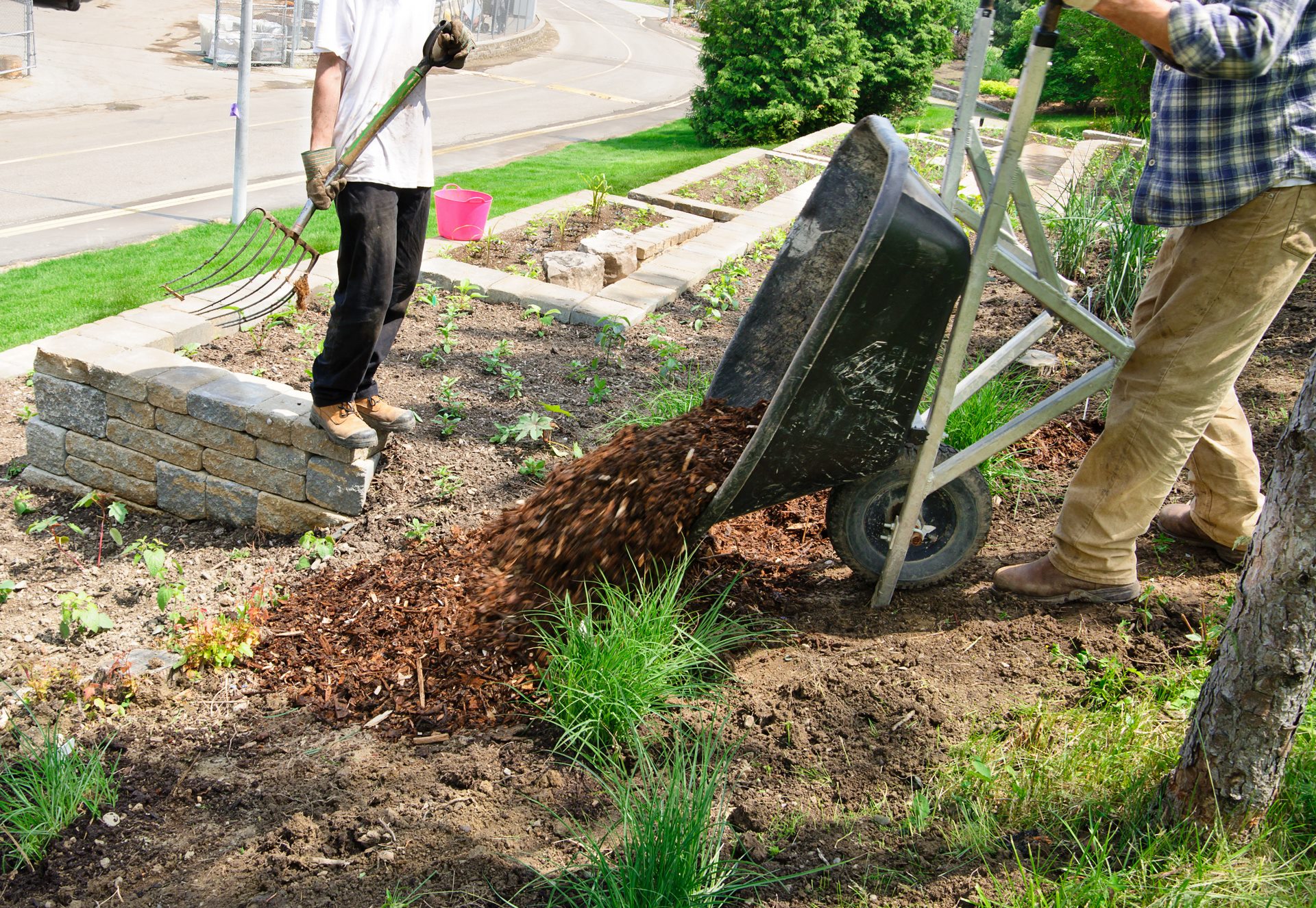 Wheelbarrow full of Mulch Garedener tips wheelbarrow full of mulch