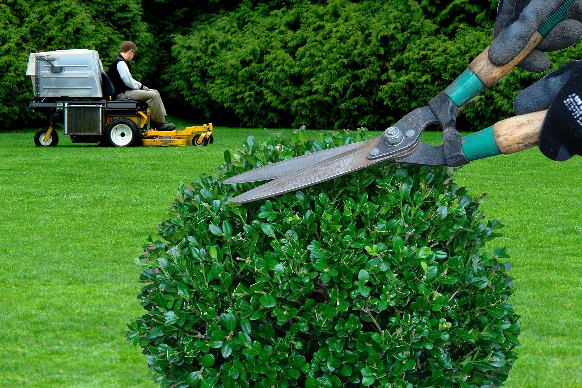 landscape maintenance