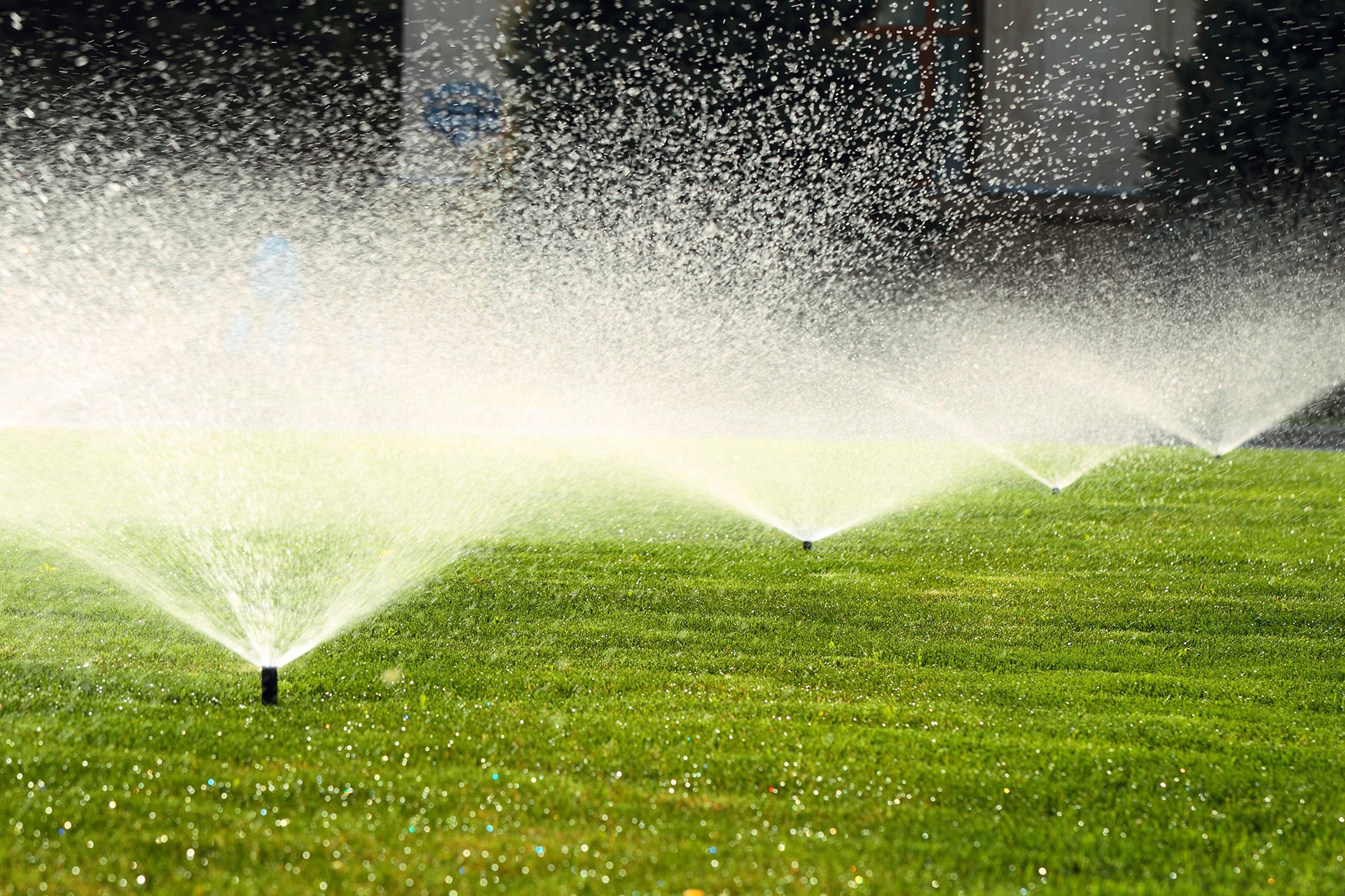garden sprinkler on the green lawn garden sprinkler on a sunny summer day during watering the green lawn